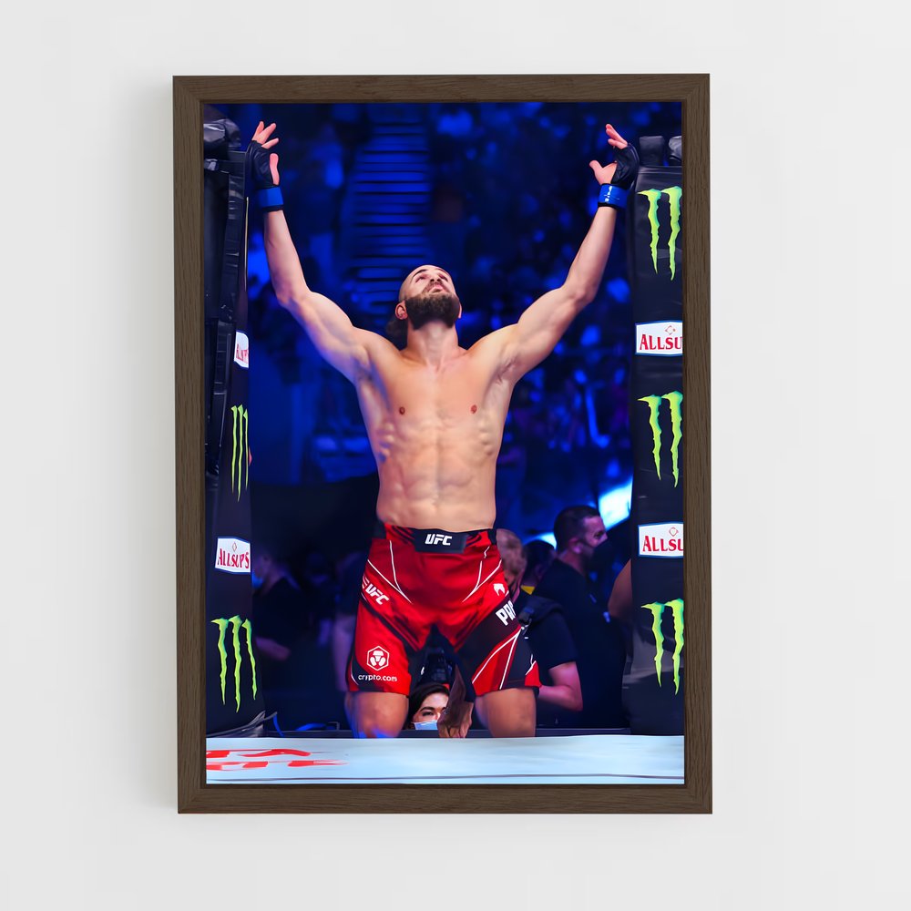 Poster L'Afficheur Noir – affiche MMA (vue 5)